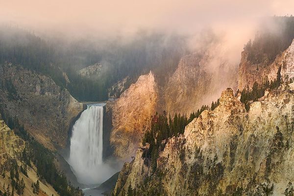 Jones, Adam 아티스트의 Lower Falls at sunrise from Artist Point-Yellowstone National Park-Wyoming작품입니다.